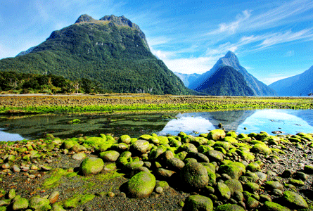 New Zealand